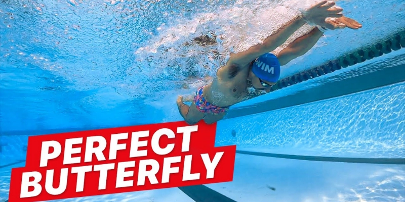 Nội Dung Bơi Bướm Tại Pan Pacific Swimming Championships